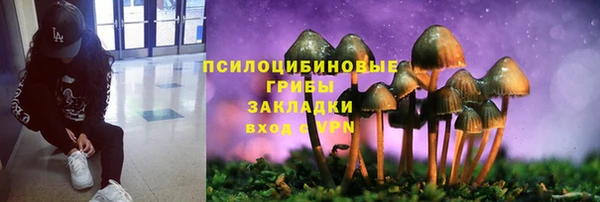 spice Елабуга