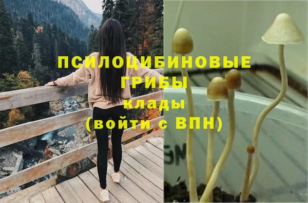 apvp Елизово