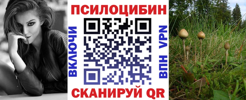 ссылка на мегу   цены наркотик  Находка  Псилоцибиновые грибы Magic Shrooms 